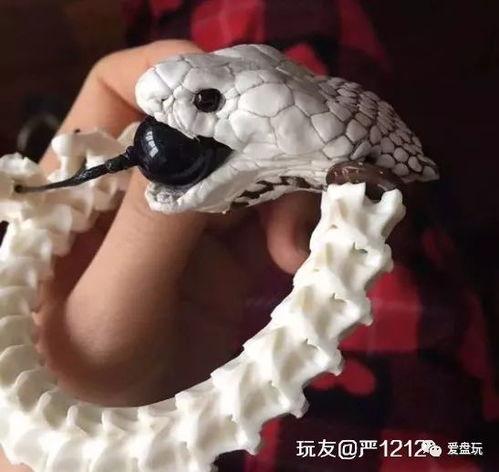 蛇怎么去骨的视频,蛇肉去骨技巧揭秘