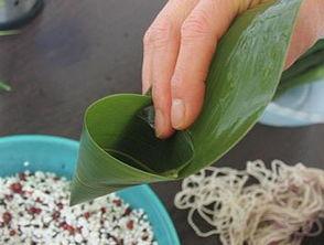 枕头粽子的包法视频,传统美味轻松学