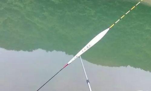 调漂钓鱼视频,调漂钓鱼技巧全解析