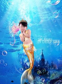 美人鱼小视频,梦幻海洋的绝美邂逅