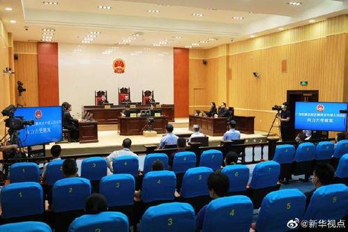 宣判大会视频,视频回顾