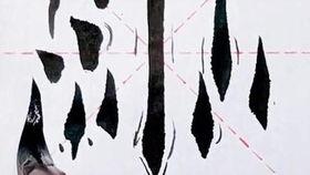 垂露竖的写法视频,垂露竖书法技巧解析与示范